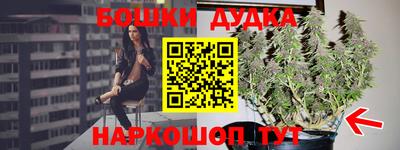 MDMA Новозыбков